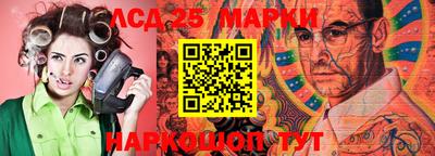 гидропоника Можга